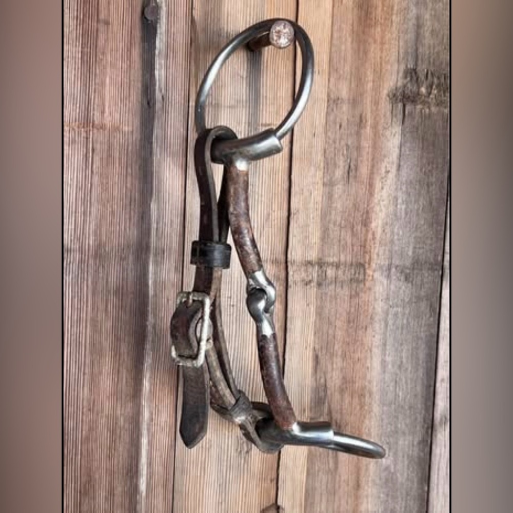 Snaffle with Curb Strap